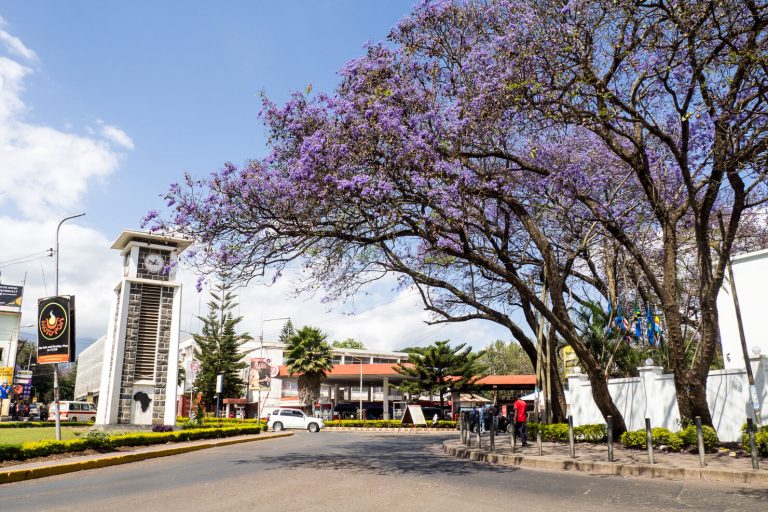 20 Things to do in Arusha